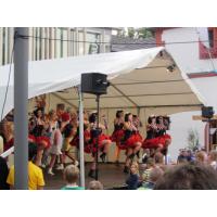 Strassen-_und_Hoffest 2014_156.jpg